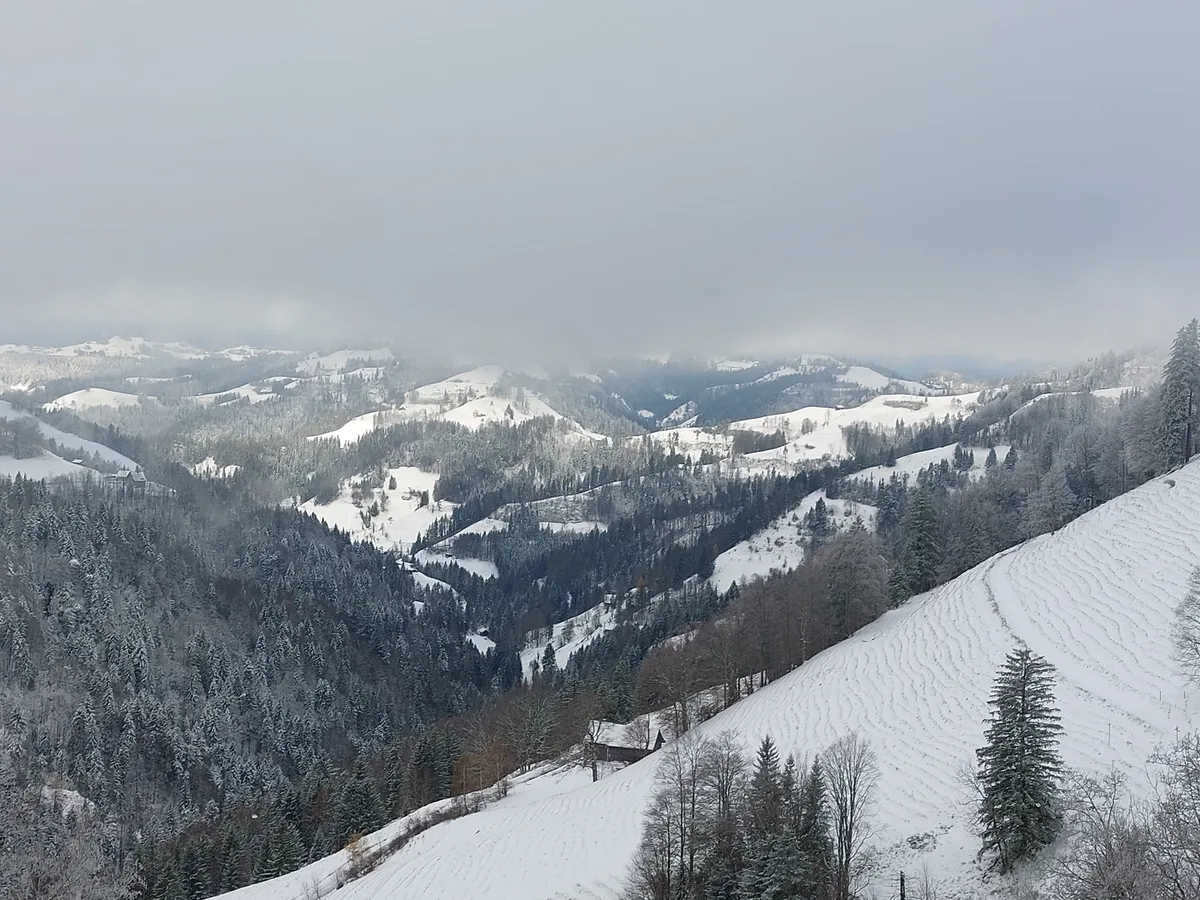 Eine verschneite Hügellandschaft.